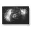 A Silverback Gorilla - Wrapped Canvas-56643690