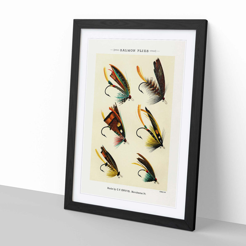 Salmon Fishing Flies Version 2 by Mary Orvis Marbury - Picture Frame Painting Print, 50cm H x 35cm W x 2cm D, Black