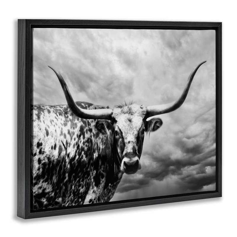 Toile flottante encadrée "Longhorn over Clouds" par PHBurchett, Cadre flottant noir de jais, H 17 po x l 21 po