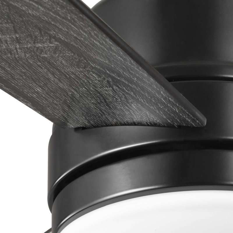 Trevina II Ceiling Fan, Black