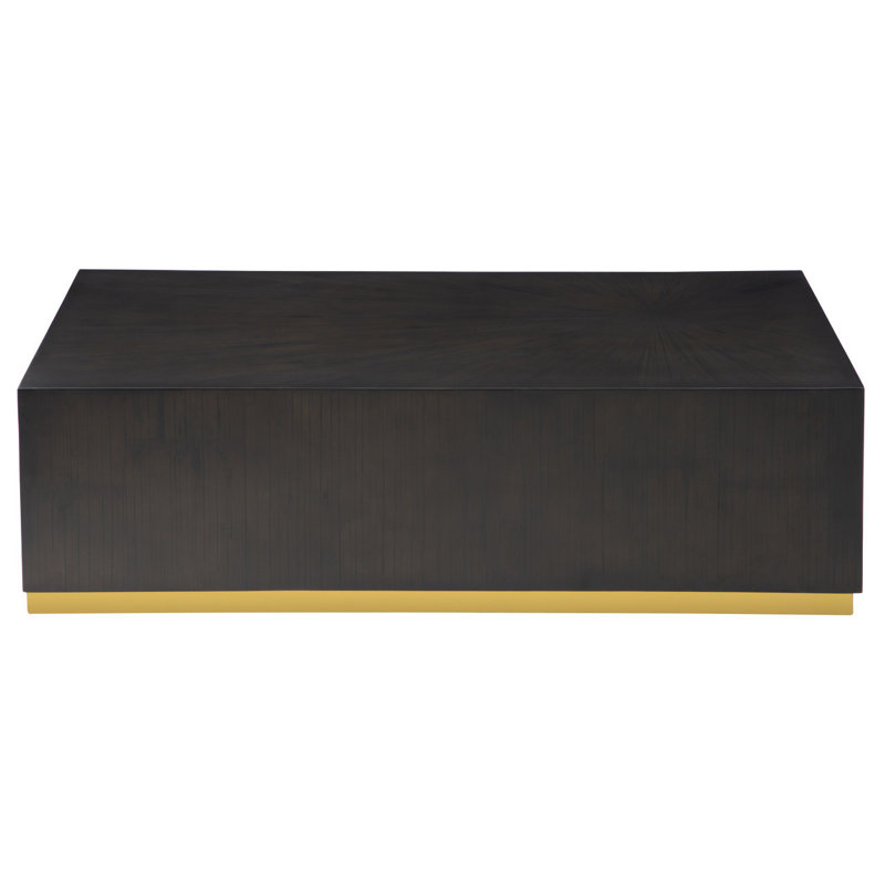 Xena Solid Wood Enclosed Coffee Table