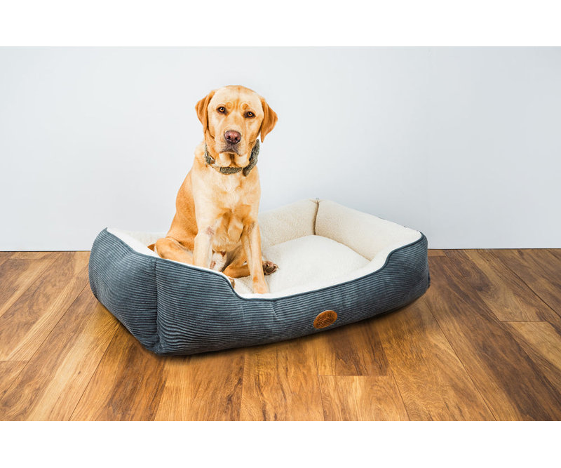 CORD Pet Bed, 33cm H x 90cm W x 77.5cm D