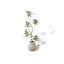 Faux arbre artificiel en bambou