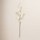 Cherry Blossom Stems