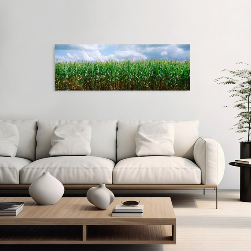 Clouds Over A Corn Field Christian County Illinois USA by Ron Schramm - Wrapped Canvas Panoramic Print