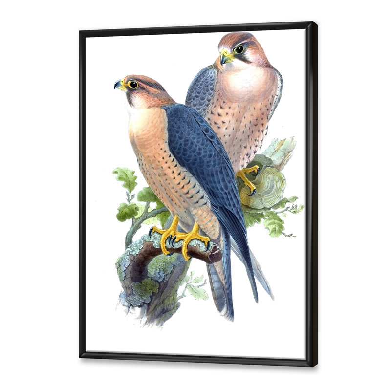 Oiseaux d'époque II - peinture sur toile, H 20 po x l 12 po x P 1po, Cadre flottant noir