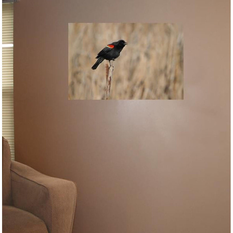 Décalcomanie murale blackbird à aile rouge, 24 po x 36 po