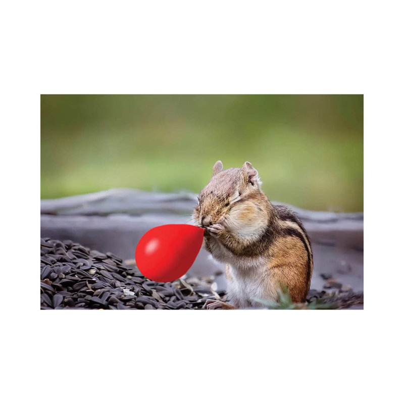 Red Balloon by Karen Burke - Wrapped Canvas Print, 45.72cm H x 66.04cm W x 1.91cm D