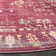 Chantae Performance Oriental Rug