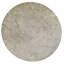 Silk Oriental Area Rug