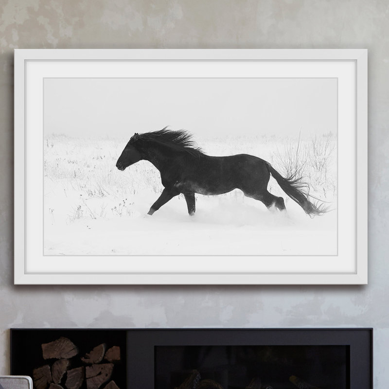« jet black », reproduction de photo sur papier encadrée, H 16 po x l 24 po x P 1,5 po