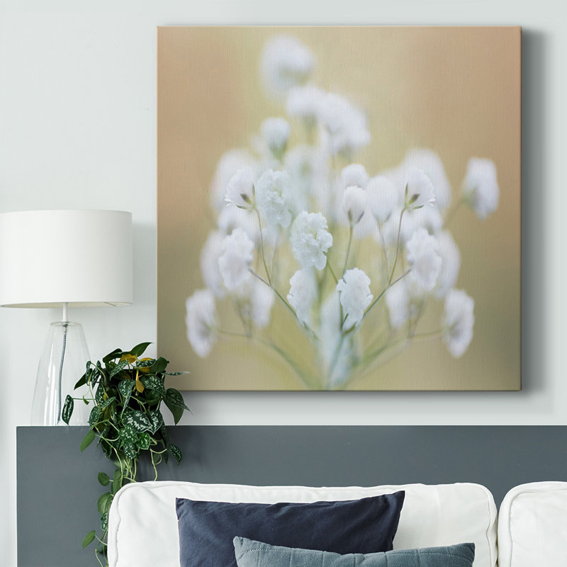 Baby's Breath Study II, H 8 po x l 8 po x P 1,5 po