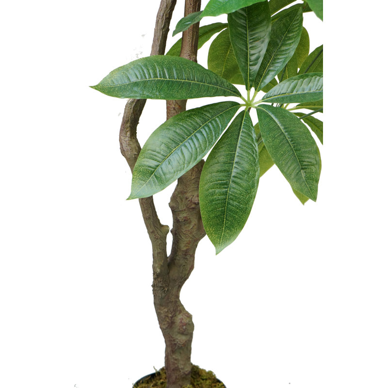 Pachira artificiel en pot 77 po Panama
