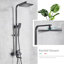Strauch Mixer Shower with Adjustable Shower Head