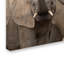 Ann "Elephants", reproduction de photo sur toile tendue-24191438