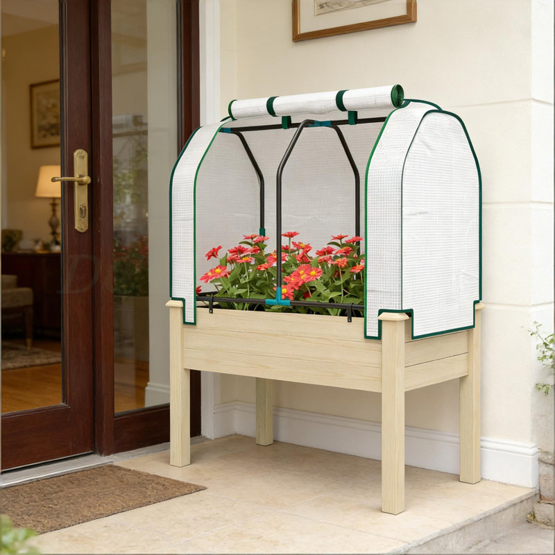Jardinière compacte, jardin surélevé pour l'extérieur, Bois naturel