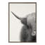 «Hey Dude Highland Cow Crop» par The Creative Bunch Studio, reproduction d'art sur toile encadrée-929312166-835261367