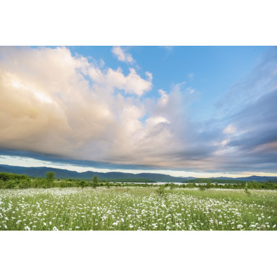 Spring Field With Daisies by Elena Batkova - Wrapped Canvas Print