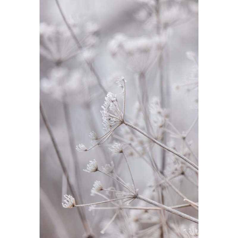 Wrapped Canvas Print, 121.92cm H x 81.28 cm W