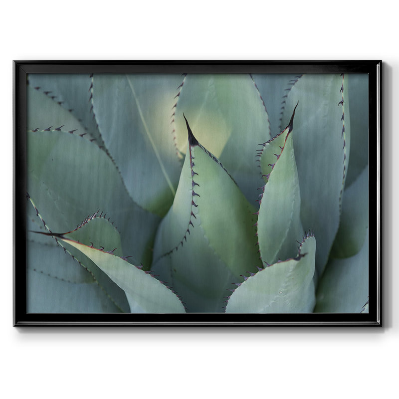 " Blue Agave I ", 14" H x 20" W x 1.5" D, Black