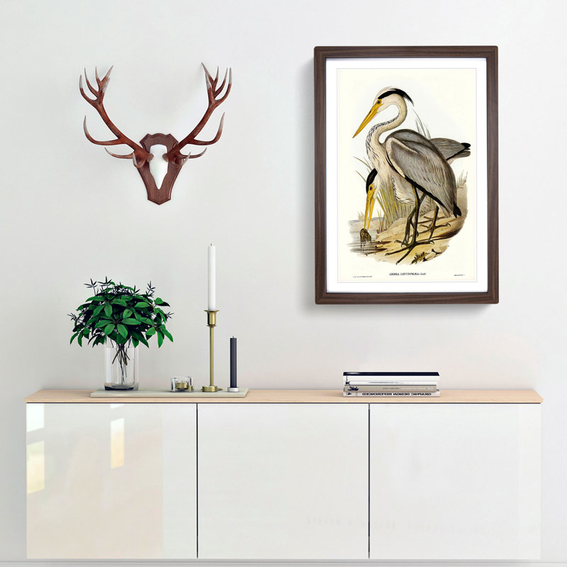 Great Grey Herons by Elizabeth Gould - Framed Print, 65cm H x 48cm W x 2cm D, Walnut Framed