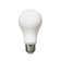 Visual Comfort & Co. LED A19 shape 13W 3000K Warm White E-26 Medium base Frosted light bulb