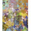 Butterflies In Flight Print-296748222