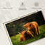 Brampt Highland Cow Friends-108817071