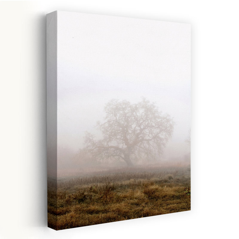 Chêne # 29 - Art photographique, H 48 po x l 32 po