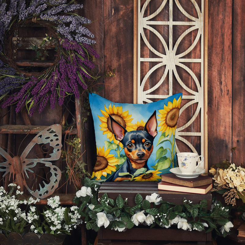 Coussin décoratif intérieur / extérieur Autre / Sans motif, H 14 po x l 14 po