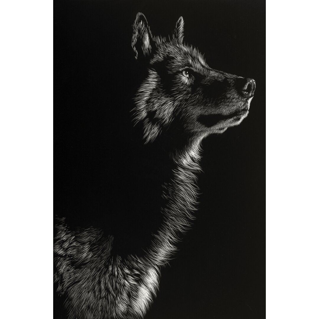 Leinwandbild Scratchboard Wolf II von Julie T. Chapman