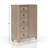 5 Drawer Door Chest