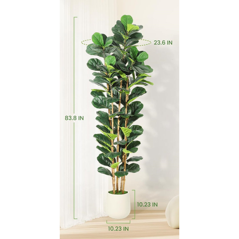 Plant, 26cm (W) x 26cm (D) x 183cm (H)