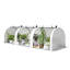 Mini-serre portative Outsunny 3 m x 0,9 m x 0,75 m avec portes enroulables à fermeture éclair, tunnel de jardin à structure en acier blanc pour plantes