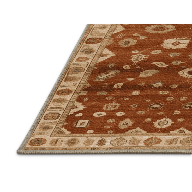 Tapis brun lavable à la machine, Rectangle 5 pi x 7 pi