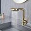 Dilon Colour Kitchen Faucet-101637396
