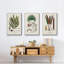 Botanical Society Ferns I, reproduction d'art encadrée sur toile 3 pièces-91890788-91890789