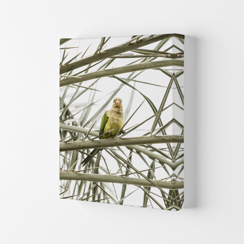 Parrot by Victoria Frost - Print, 42cm H x 29.7cm W x 4cm D, Wrapped Canvas