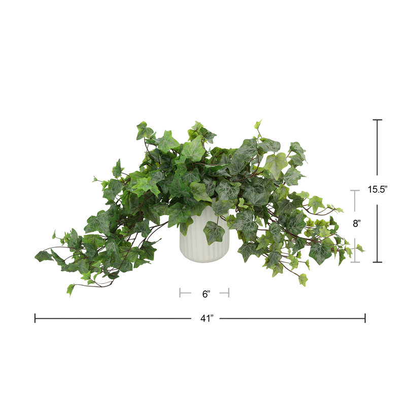 Trailing Ivy in Ribbed Ceramic Vase