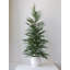 SEASONAL GREENERY TREE S/2 CEDAR POT 2FT-1604586735