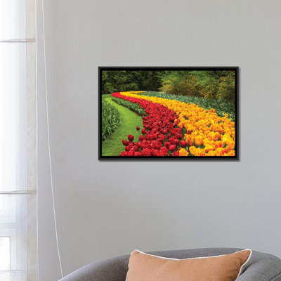 " Netherlands, Keukenhof " by Mikolaj Gospodarek