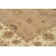 Oriental Area Rug