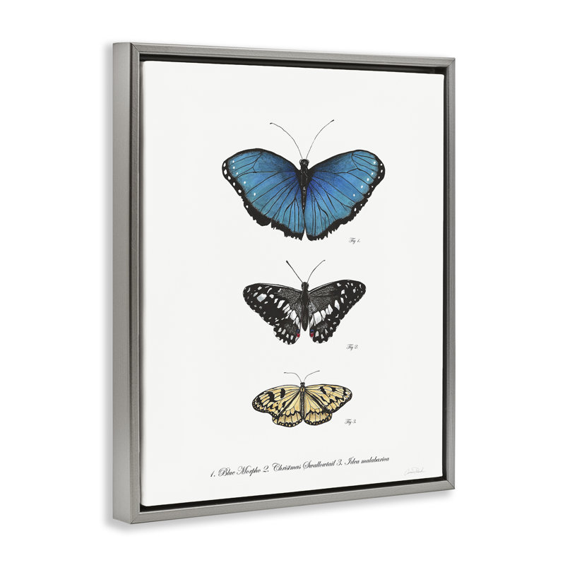 Art mural rétro sur toile, "Papillons" par Connie Resch, Cadre flottant gris lustré, H 21 po x l 17 po