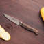 ZWILLING 1731 4-Inch Paring
