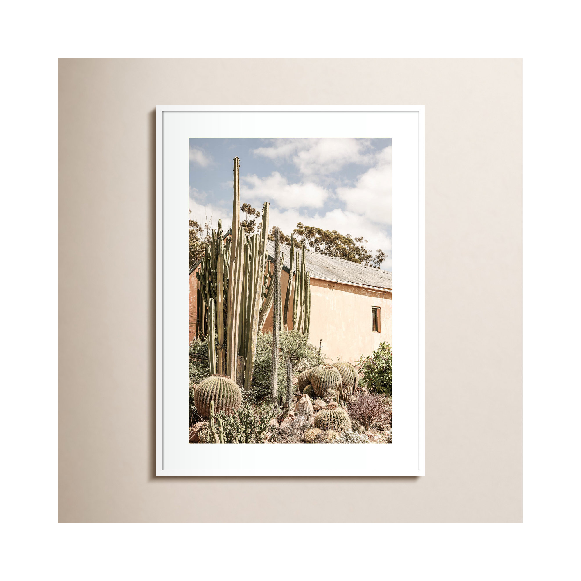 Karoo Garden 02 by Shot by Clint Wood Framed Wall Art Print, 41" H x 30" W, White 