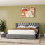 Lit rembourré en velours avec 4 tiroirs de rangement Better Home Products Izayah-812012409-812012295