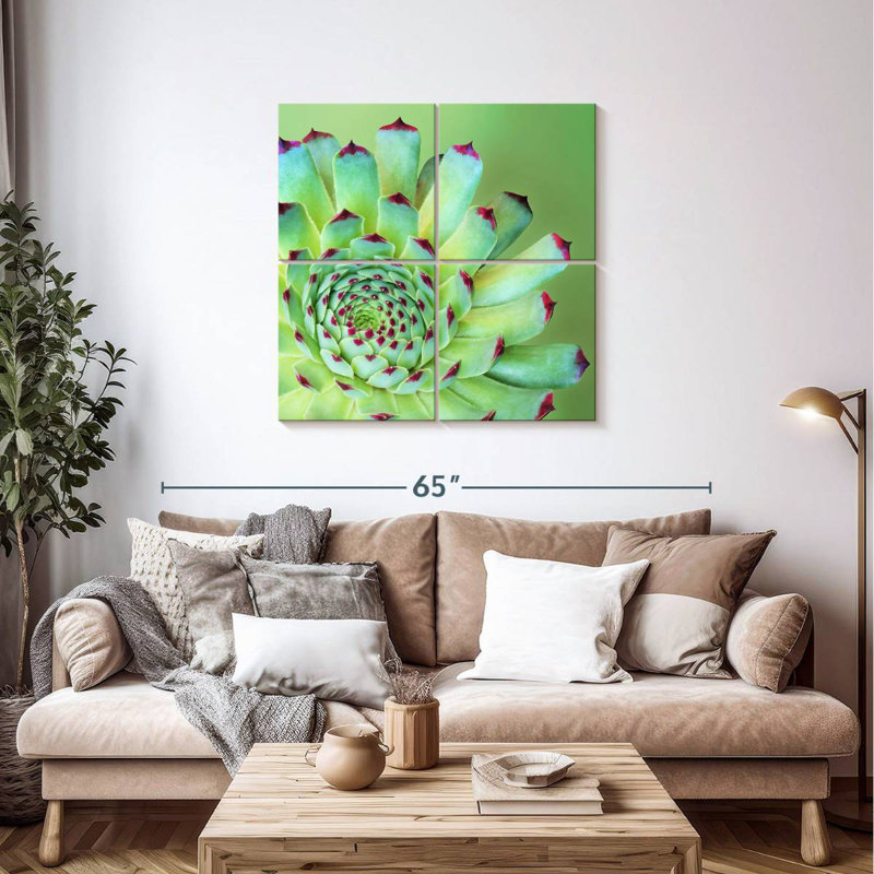Harnek Succulent exotique