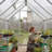 Palram - Canopia Mythos 6' W X 8' D Greenhouse Walk-In Hobby Twin Wall Polycarbonate Aluminum Frame Greenhouse Kit With Roof Vent - Silver-379630575-278146403