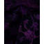 Overdyed One-of-a-Kind 8' 1" X 8' 2" Hand Knotted Area Rug