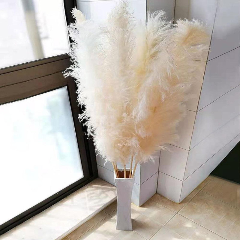 Preserved Pampas Grass – 59-Inch Tall, Neutral Beige (3 Set)